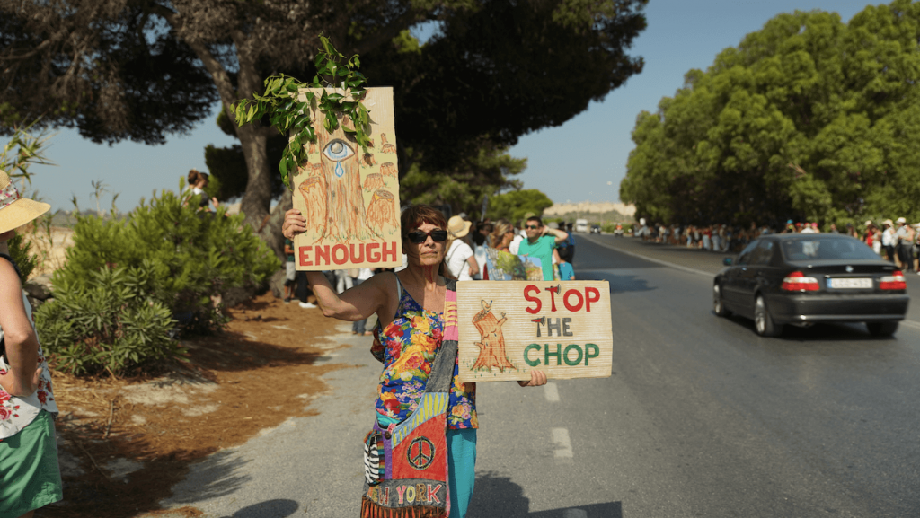 A woman at yesterday's protest against the Central Link project