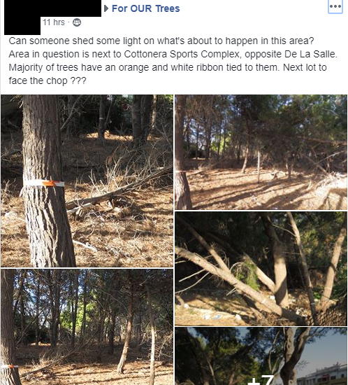 The post on the Facebook group 'For Our Trees' 