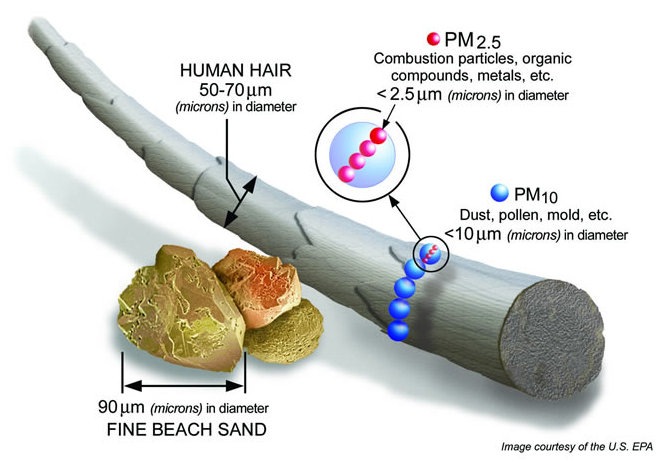 The size of harmful PM 2.5 particulates compared to a human hair
