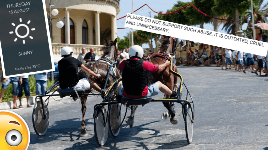 Animal Liberation Malta Slam Gozo's Santa Marija Horse Racing Tradition