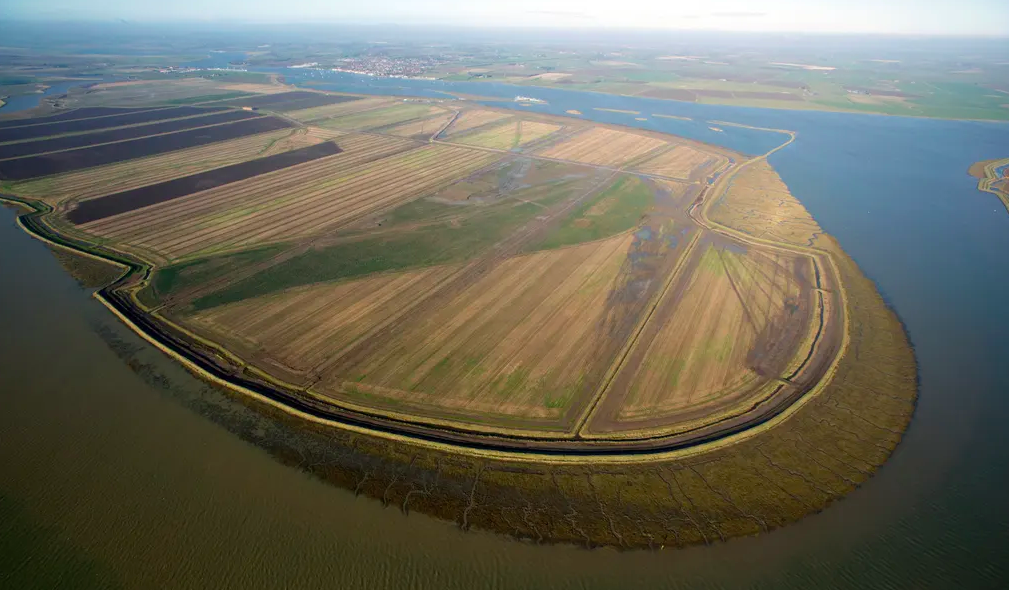 The Wallasea bird sanctuary, built out of construction waste. Photo: Crossrail 