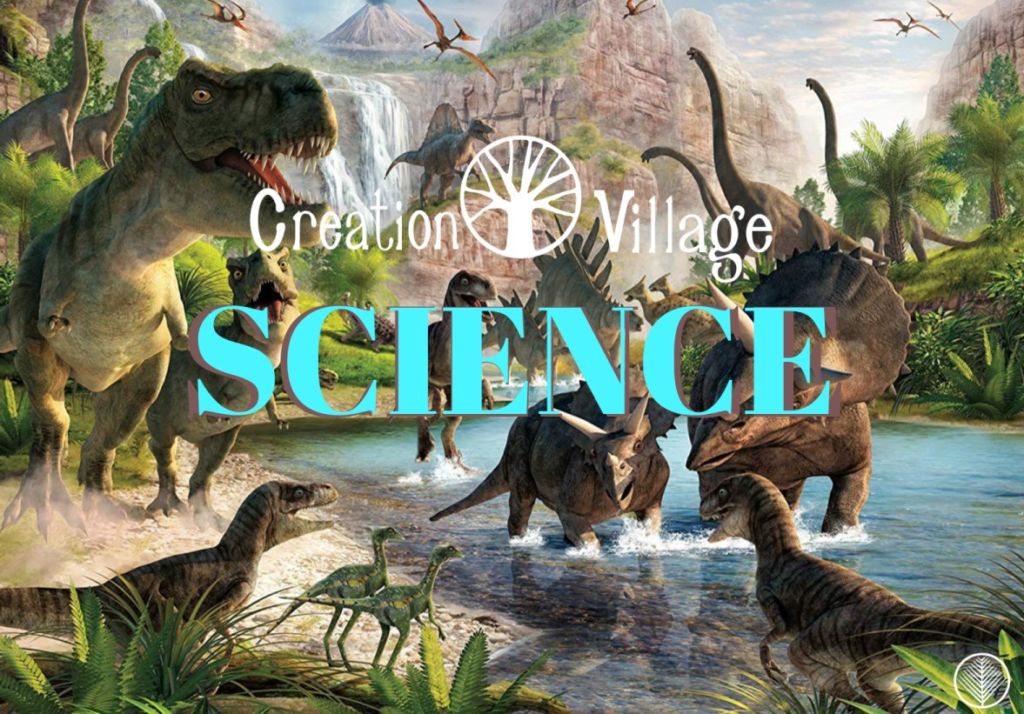 The actual poster for Creation Village.