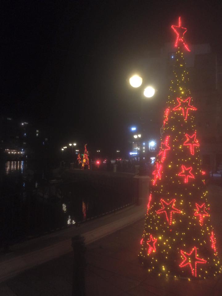 Christmas trees had been installed all along the main road