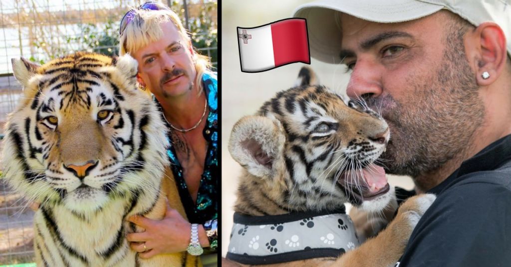 Malta Has Its Own Tiger King, And He Lives In Siġġiewi