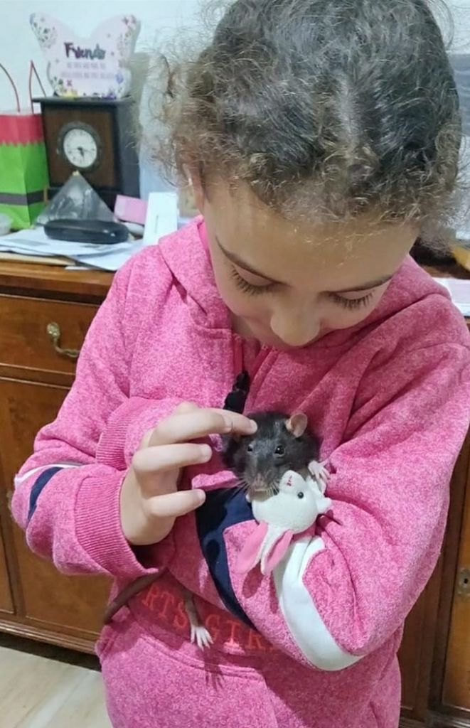 Arnold Sciberras' daughter with her pet rat Minnie 