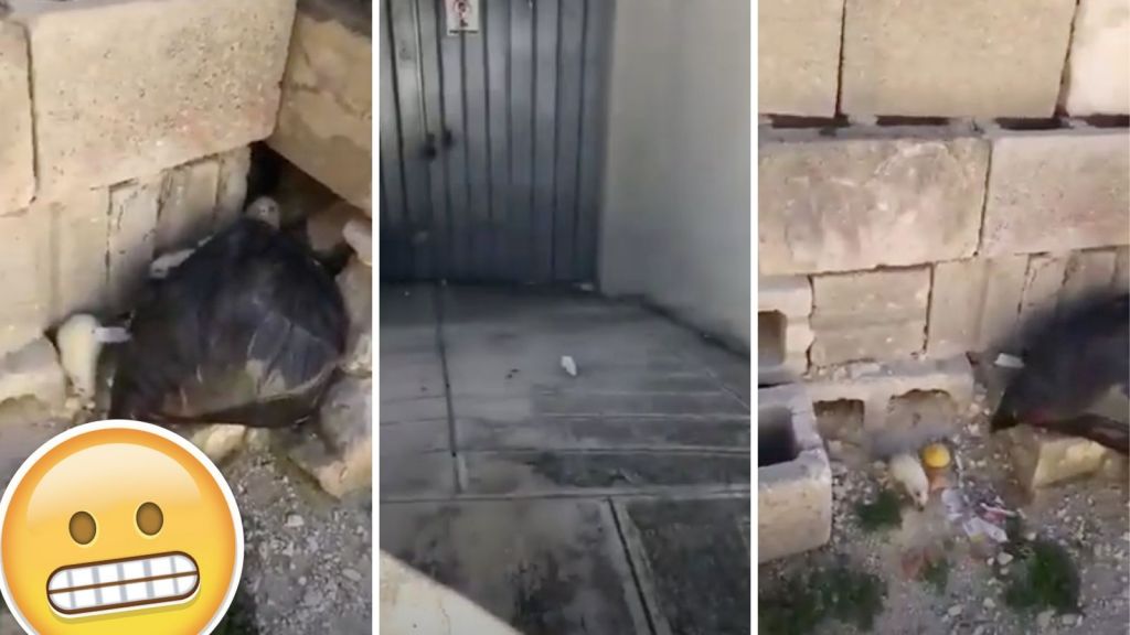 Article Featured Image