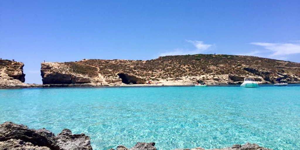 Now that's not something you see every day on Comino in mid-June