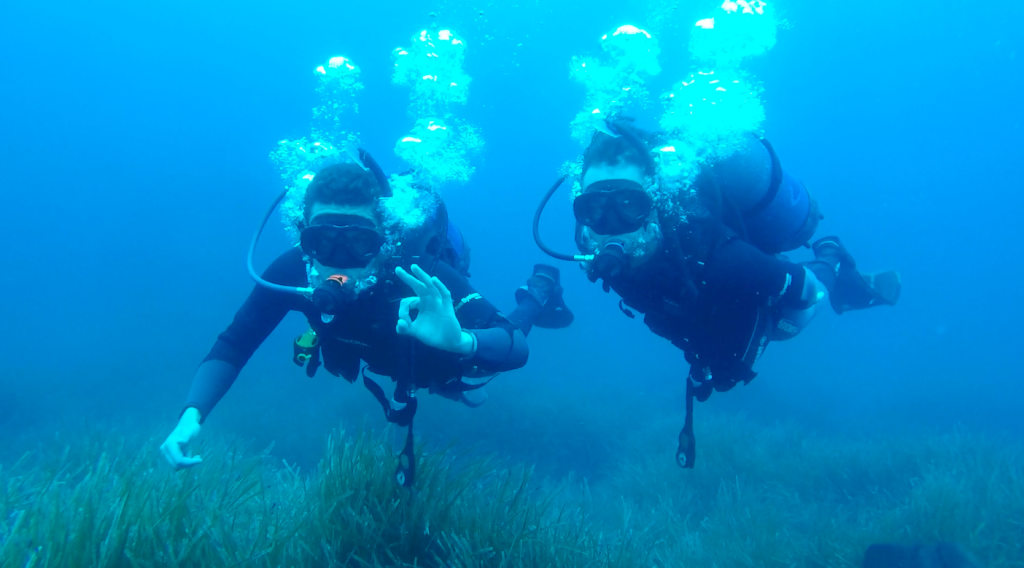 Let's get diving