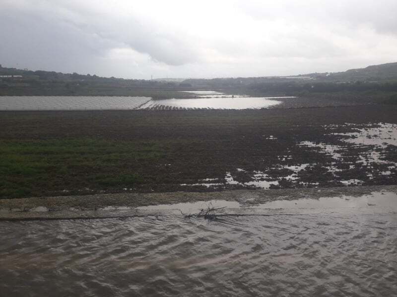 Fields flooded in 2019 as well 