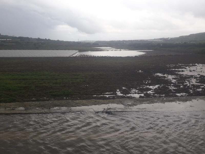Fields flooded in 2019 as well