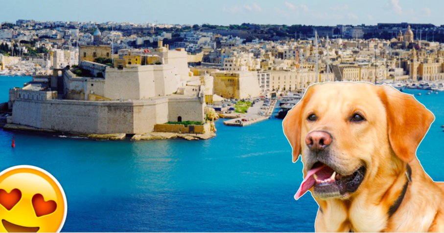 pet travel malta