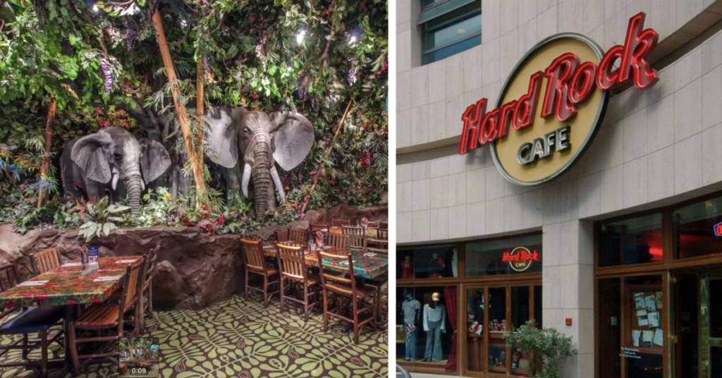 Jungle Themed Chain Restaurant To Replace Bay Street S Hard Rock Cafe