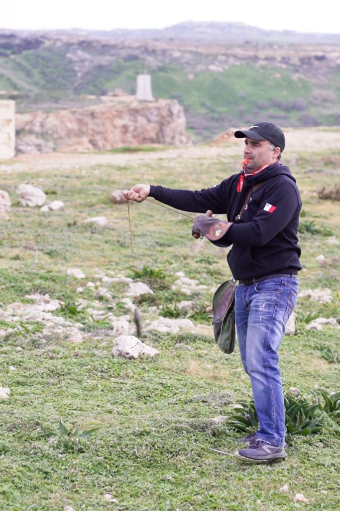 Falconer Marco using a lure to train Nenu