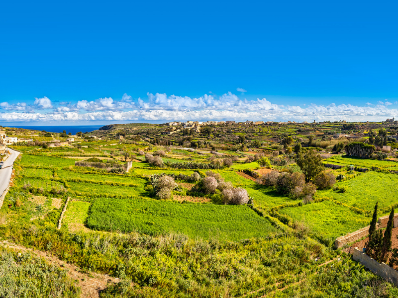 The fields at Tas-Sajtun acquired by Carravan Company Ltd.