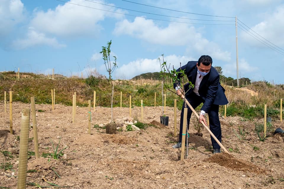 Environment Minister Aaron Farrugia planting a tree at Majjistral Park 