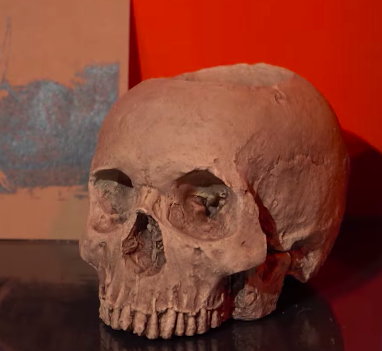 Not a real skull