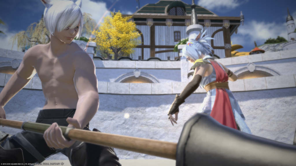 Combat training in Final Fantasy 14