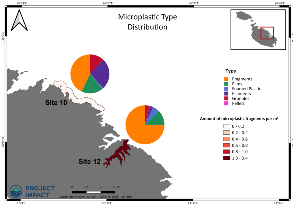 Type of microplastic