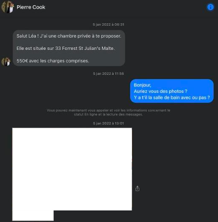 Part of a conversation between a scammer and a French expat 