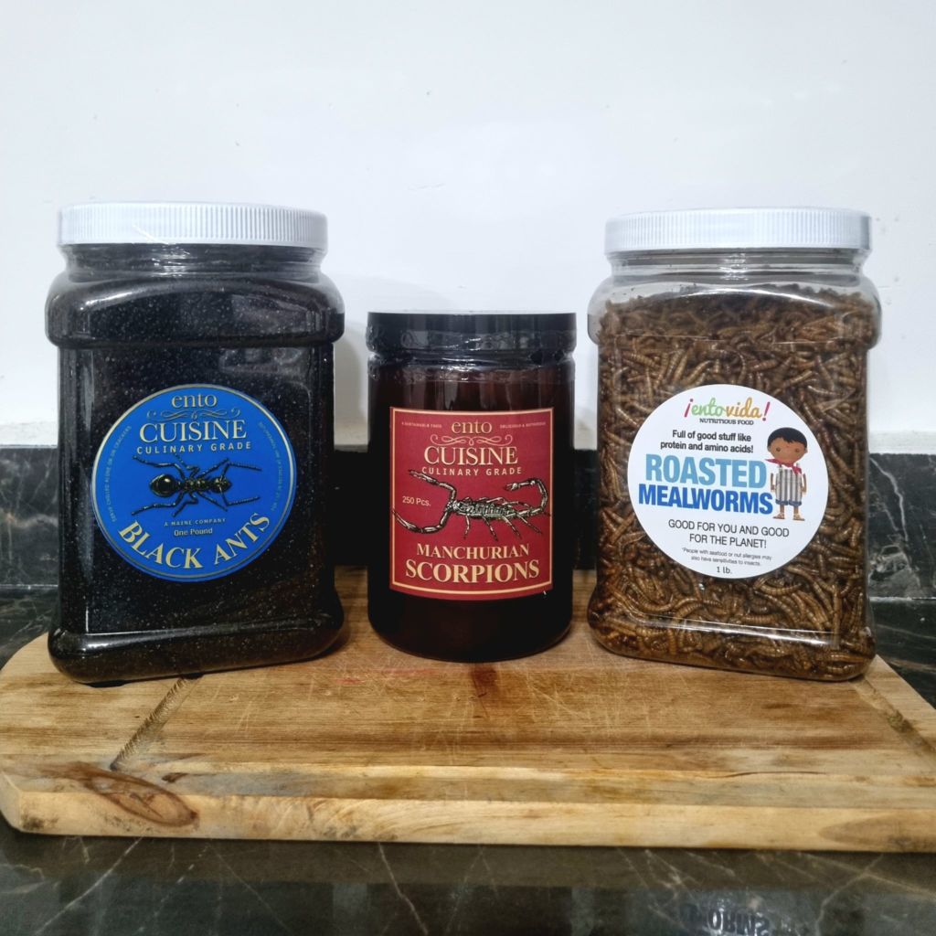 Batches of edible insects