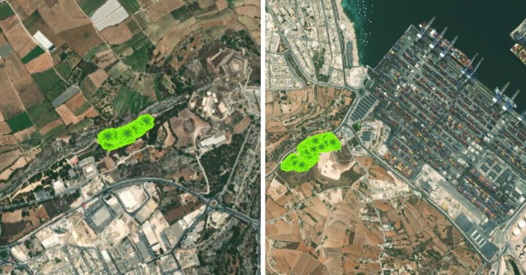 Left: The cluster of plants outside of Mosta, Right: the larger sapling forest, within a stone's throw of Birżebbuġa's Freeport