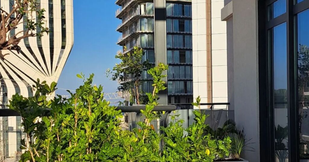 One of Ġungla's residential greening projects in St Julian's