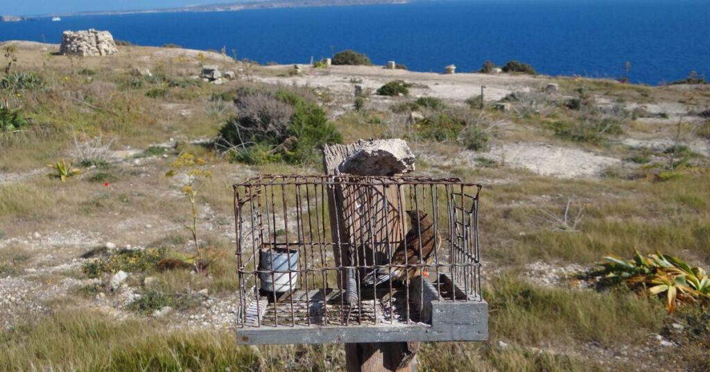 Article Featured Image