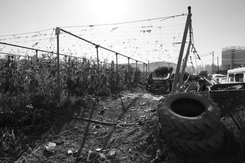 Al-Arroub Refugee Camp 