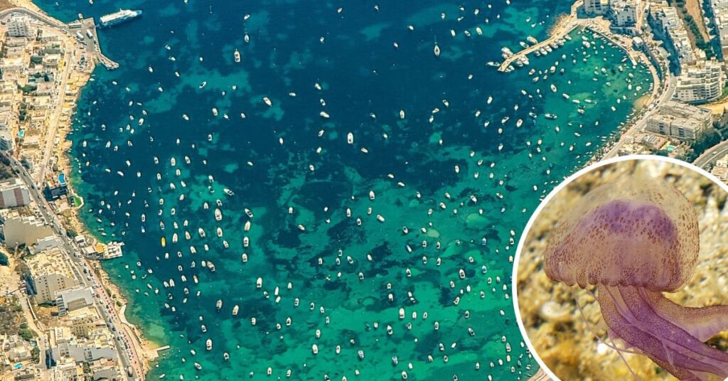 Article Featured Image