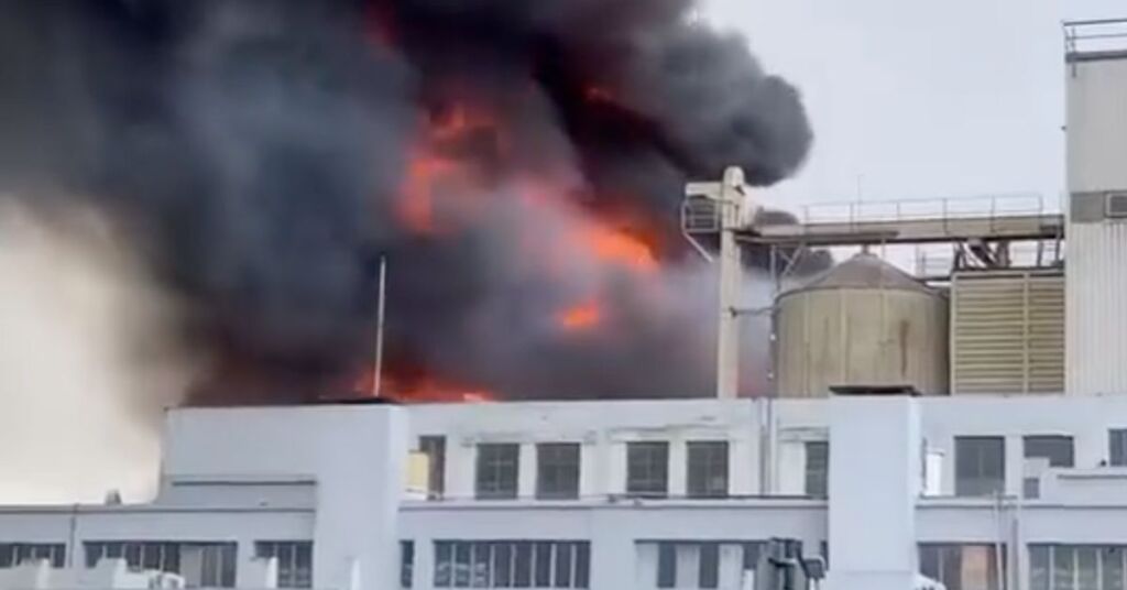 Article Featured Image